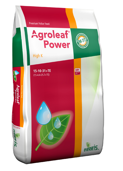 Agroleaf Power 15-10-31 +TE High K